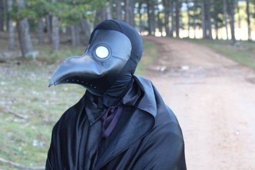 Plague doctor mask real - plague,