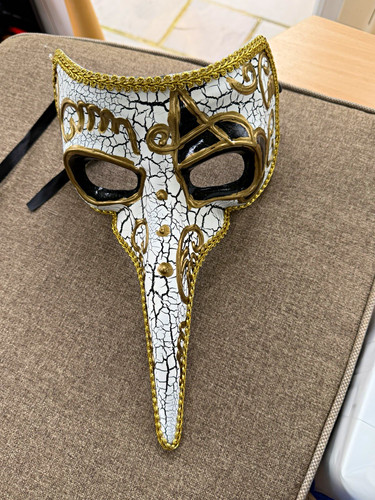 Venetian plague doctor half - plague,