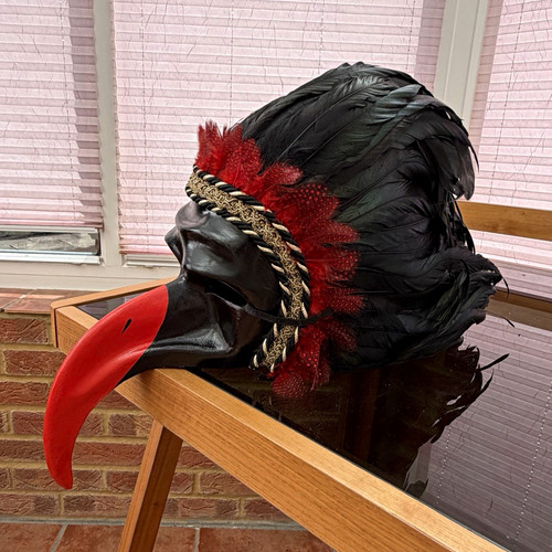 Black feather plague doctor - feather,